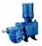 Neptune Metering Pump