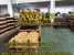  CATERPILLAR CARRIER ROLLER  Front IDLERS D9NRL ( CATERPILLAR CARRIER ROLLER  Front IDLERS D9NRL)