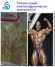 USP/BP standard Trenbolone Acetate (Finaject / Revalor-H) Trenbolone china hormo (USP/BP standard Trenbolone Acetate (Finaject / Revalor-H) Trenbolone china hormo)