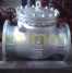 Check Valve, 14 Inch, 150 LB, RF, Bolted Cover, BS 1868