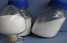 Fluoxymesterone  Top Quality Good Price ()