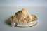 natural compound fucoidan in seaweed Q/1100RJH00-2011
