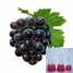 Grape Skin Extract ()