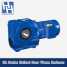 SA Series Helical Gear Worm Reducer ()