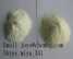 84371-65-3  Mifepristone ()