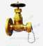 JIS MARINE BRONZE GLOBE HOSE VAVLE F7334A ()