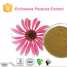 Pure natural improving immunity chicoric acid Echinacea purpurea extract (Pure natural improving immunity chicoric acid Echinacea purpurea extract)