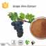 Pure natural balancing blood sugar antioxidant grape vine extract ()