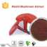 Reishi Mushroom Extract