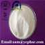 Nandrolone 17-propionate