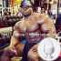 Testosterone Undecanoate ()