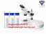4-Androstenedione   CAS:63-05-8 ()
