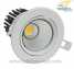 Adjustable COB LED Down Lights, with CREE LED Chip (Adjustable COB LED Down Lights, with CREE LED Chip)