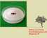 Testosterone  /male sex hormone /anabolic steroid/steroid hormone ()