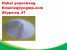 Hydrocortisone /CAS NO.: 50-23-7 (Hydrocortisone /CAS NO.: 50-23-7)
