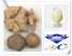 Glycerite  CAS 1401-55-4  Food Grade 97% Pharmaceutical Grade