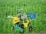 2ZBZ-2A Self-propelled 2 lines vegetable transplanting machine