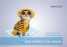 Pet diapers ()