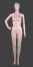 plastic female mannequin ()