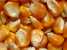 Sell - Yellow Corn ()