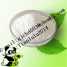 Meclofenoxate hydrochloride