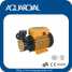 Vortex pump,Peripheral pump,Surface pump KB60 (Vortex pump,Peripheral pump,Surface pump KB60)