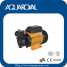 Vortex pump,Peripheral pump,Surface pump DB125 (Vortex pump,Peripheral pump,Surface pump DB125)