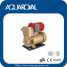 Self-priming pump,Jet pump,surface pump PS130 (Self-priming pump,Jet pump,surface pump PS130)