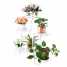 6 wrought iron flowers rack ()