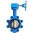 worm-gear-operated lug butterfly valve with PEDM sealing