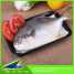 Frozen Food Products Water Absorbing Pads Absorbent Pad for Meat Soaker Diaper ()