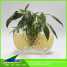 Plastic Material and Wedding Party Flower Decor Crystal Soil Water Absorbent Bea