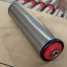 DP1200 Gravity Roller / Free Roller / Conveyor Roller ()