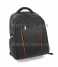 Backpack, Laptop case, Triveling bag (Sac à dos pour ordinateur portable cas, Triveling sac)