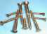 silicon bronze wood screw ()